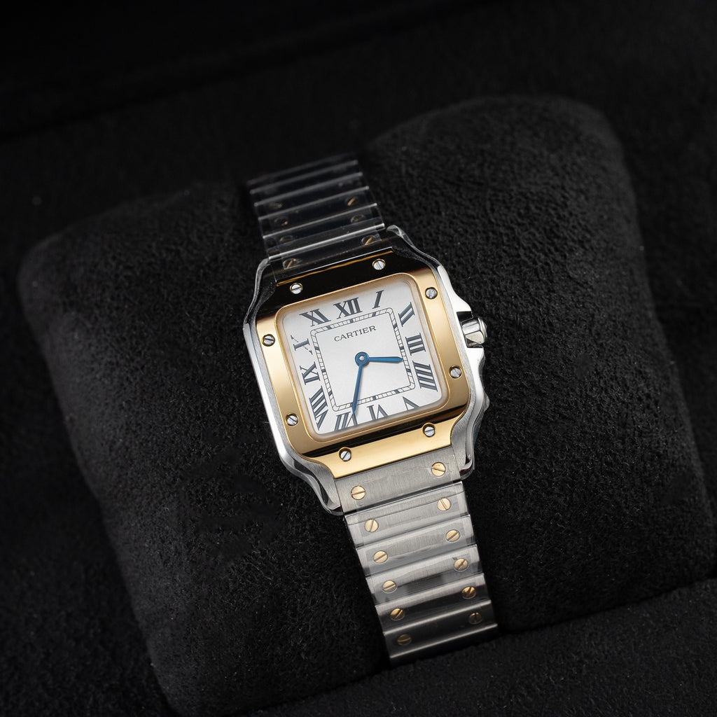 Santos W2SA0033 Watch