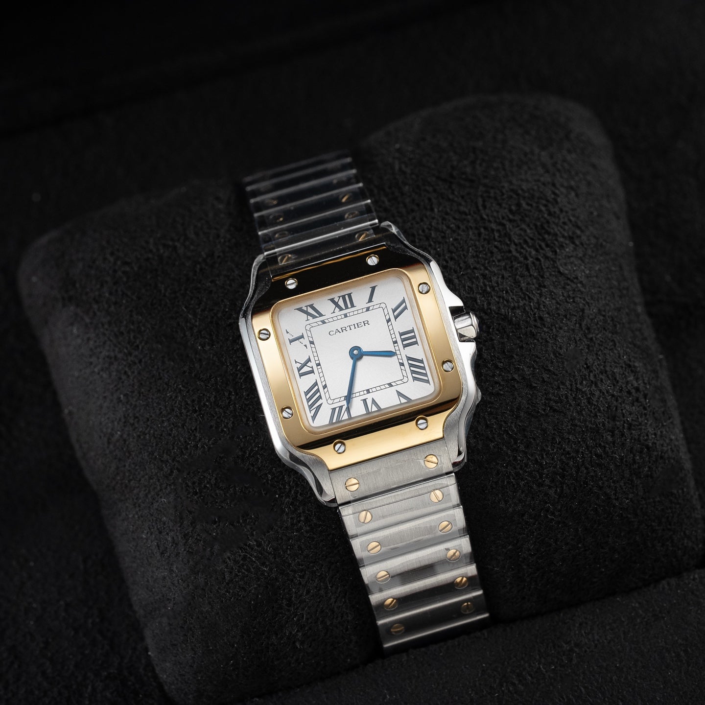 Santos W2SA0033 Watch