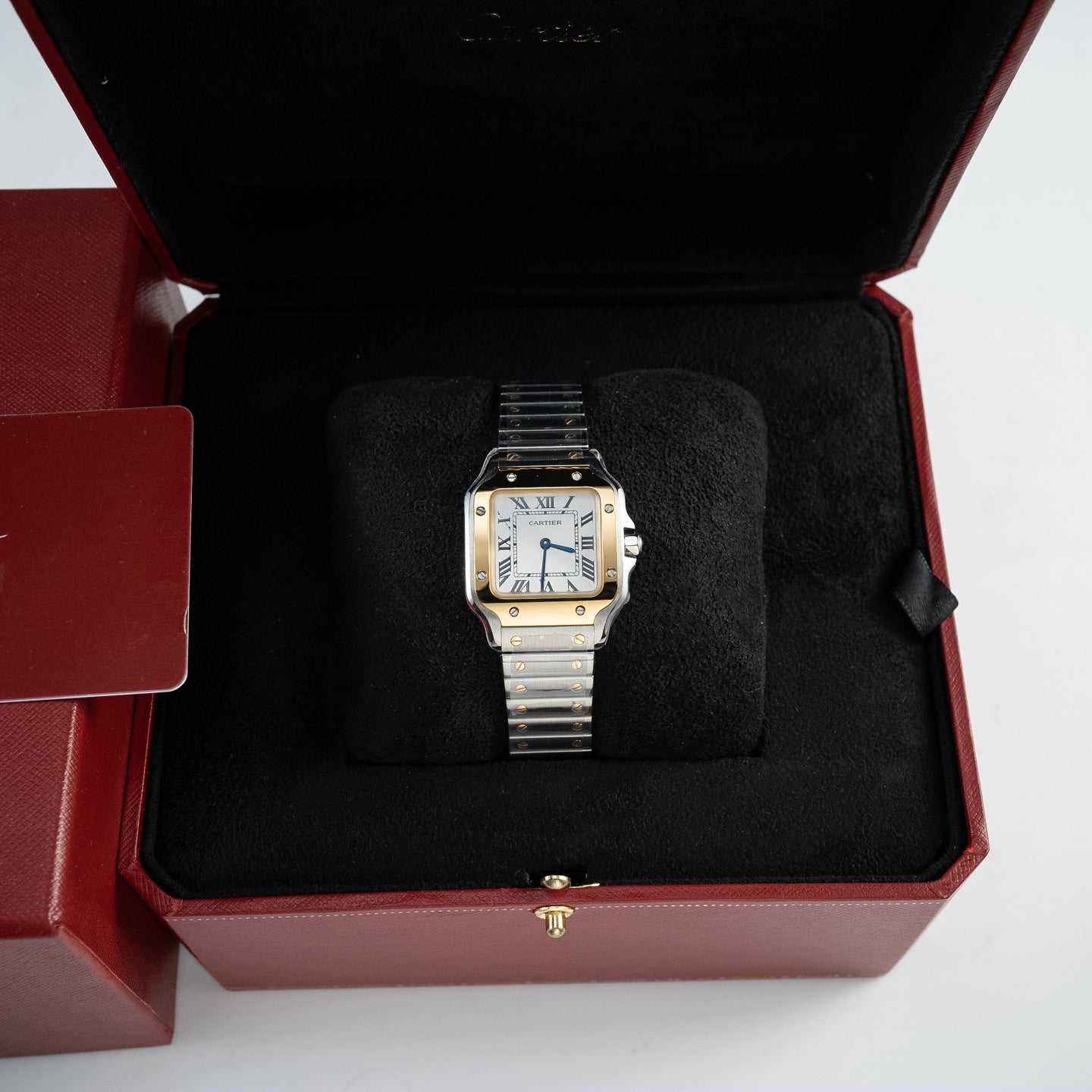 Santos W2SA0033 Watch