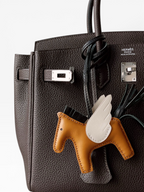 Birkin 25 Togo Leather - Silver hardware | Full Set