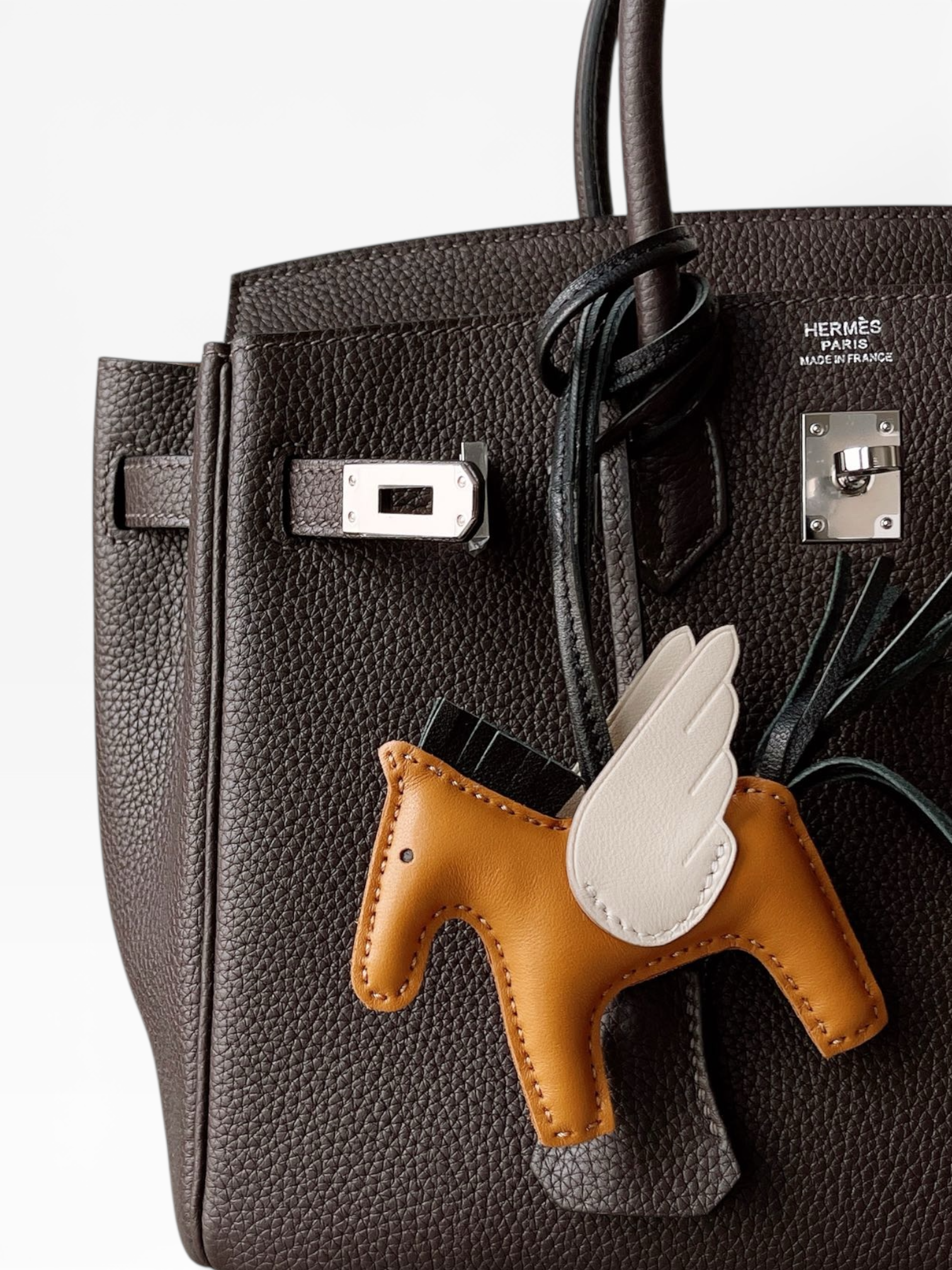 Birkin 25 Togo Leather - Silver hardware | Full Set