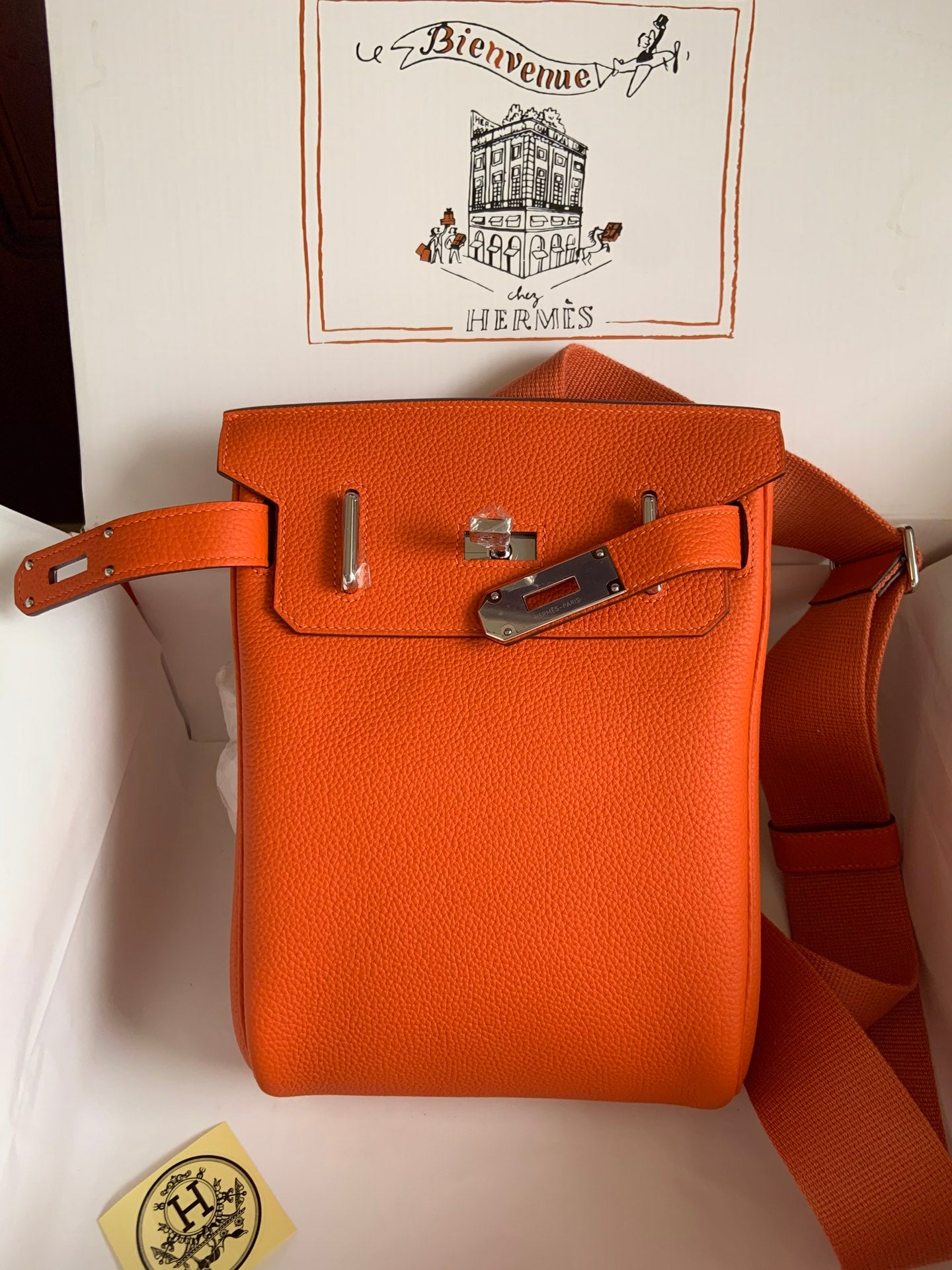 HAC à Dos Backpack 18cm Togo Leather