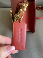 Mini Tabby Chain Bag