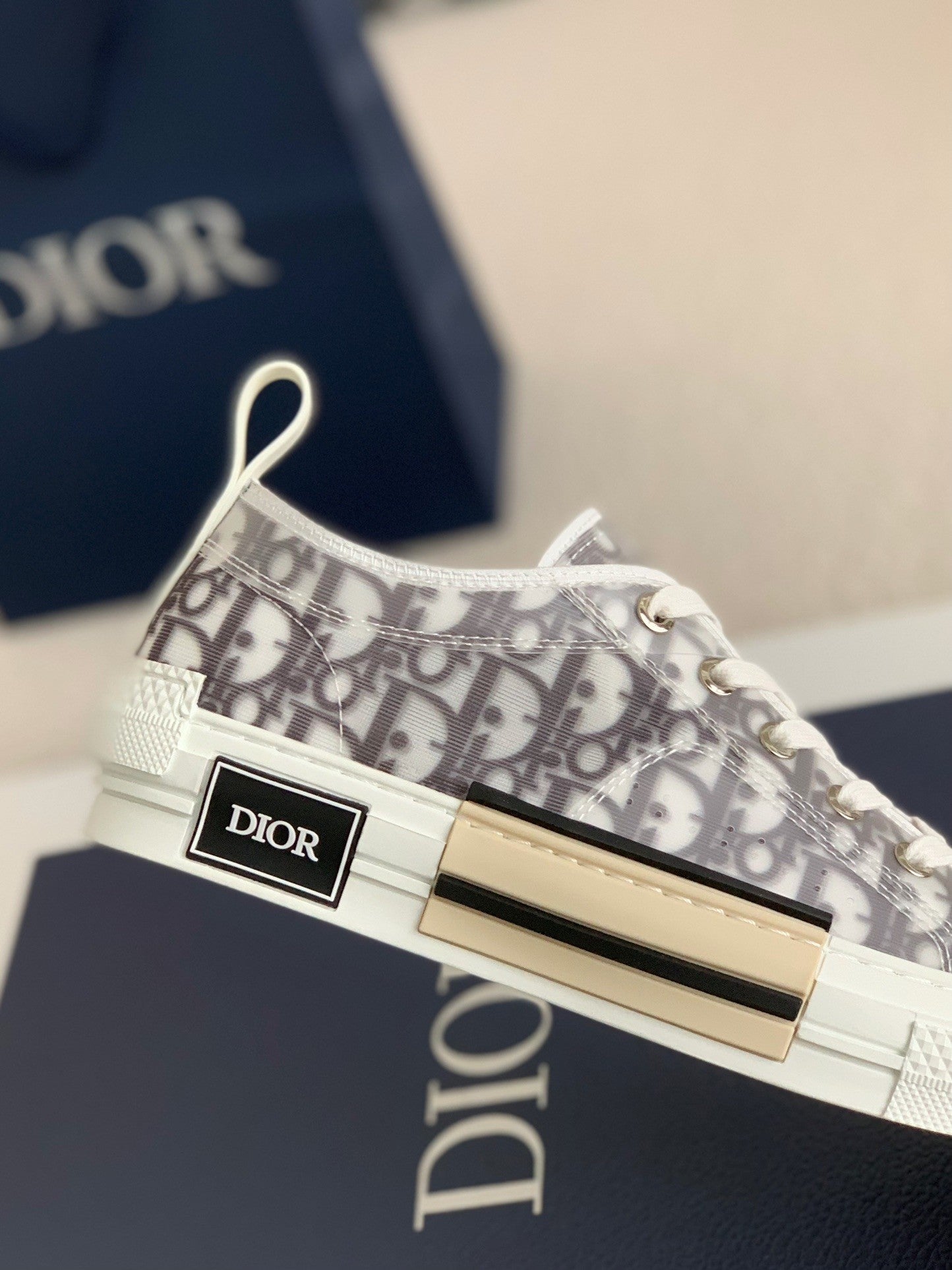 B23 Oblique Sneaker – Grey Transparent Monogram
