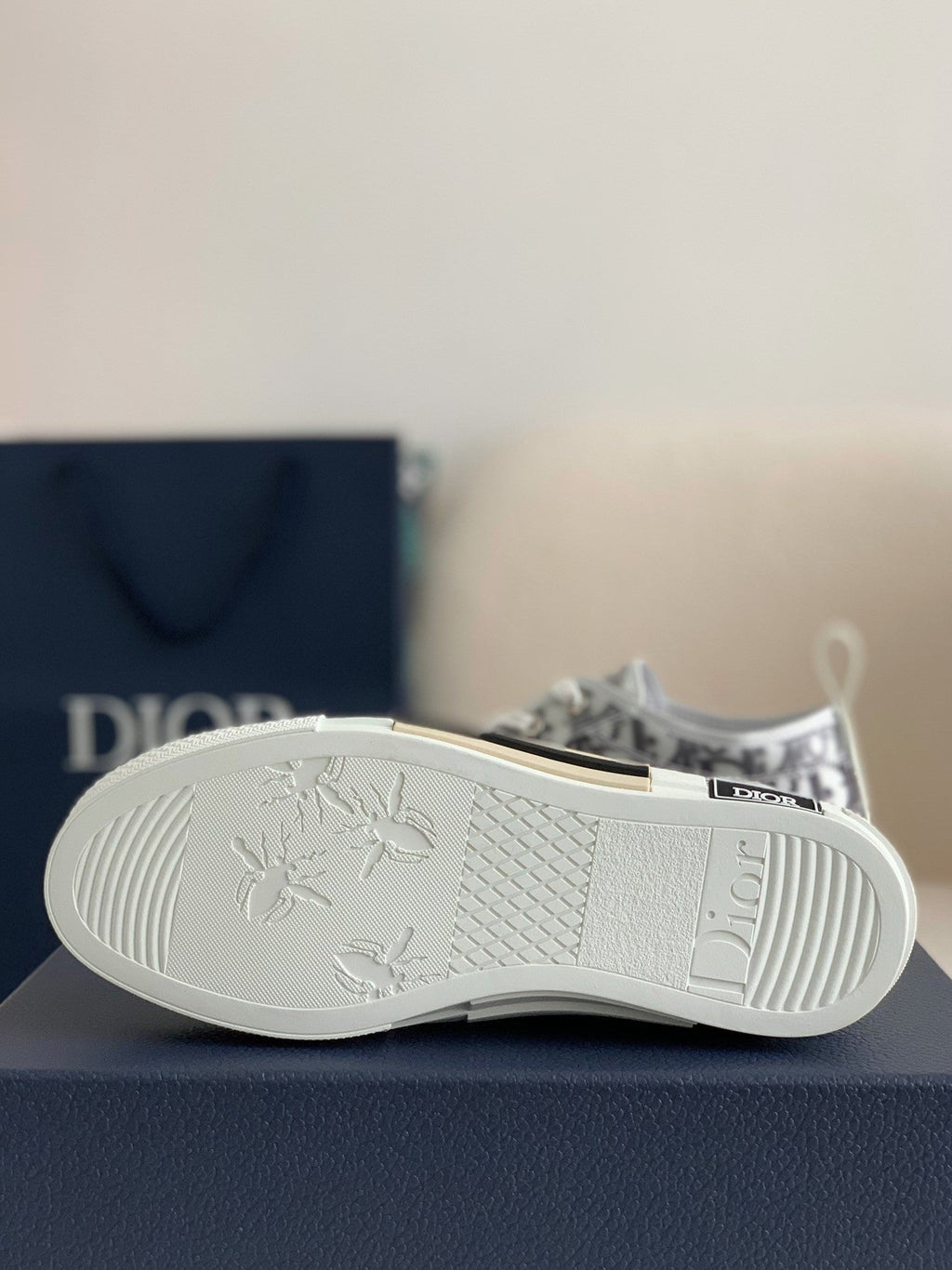 B23 Oblique Sneaker – Grey Transparent Monogram