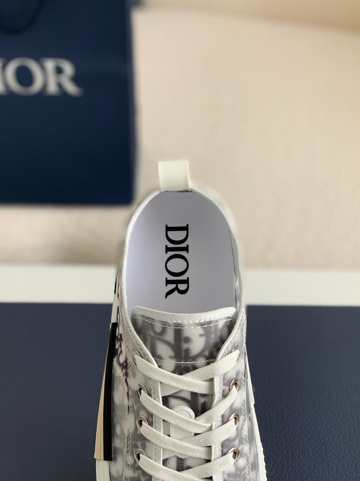 B23 Oblique Sneaker – Grey Transparent Monogram
