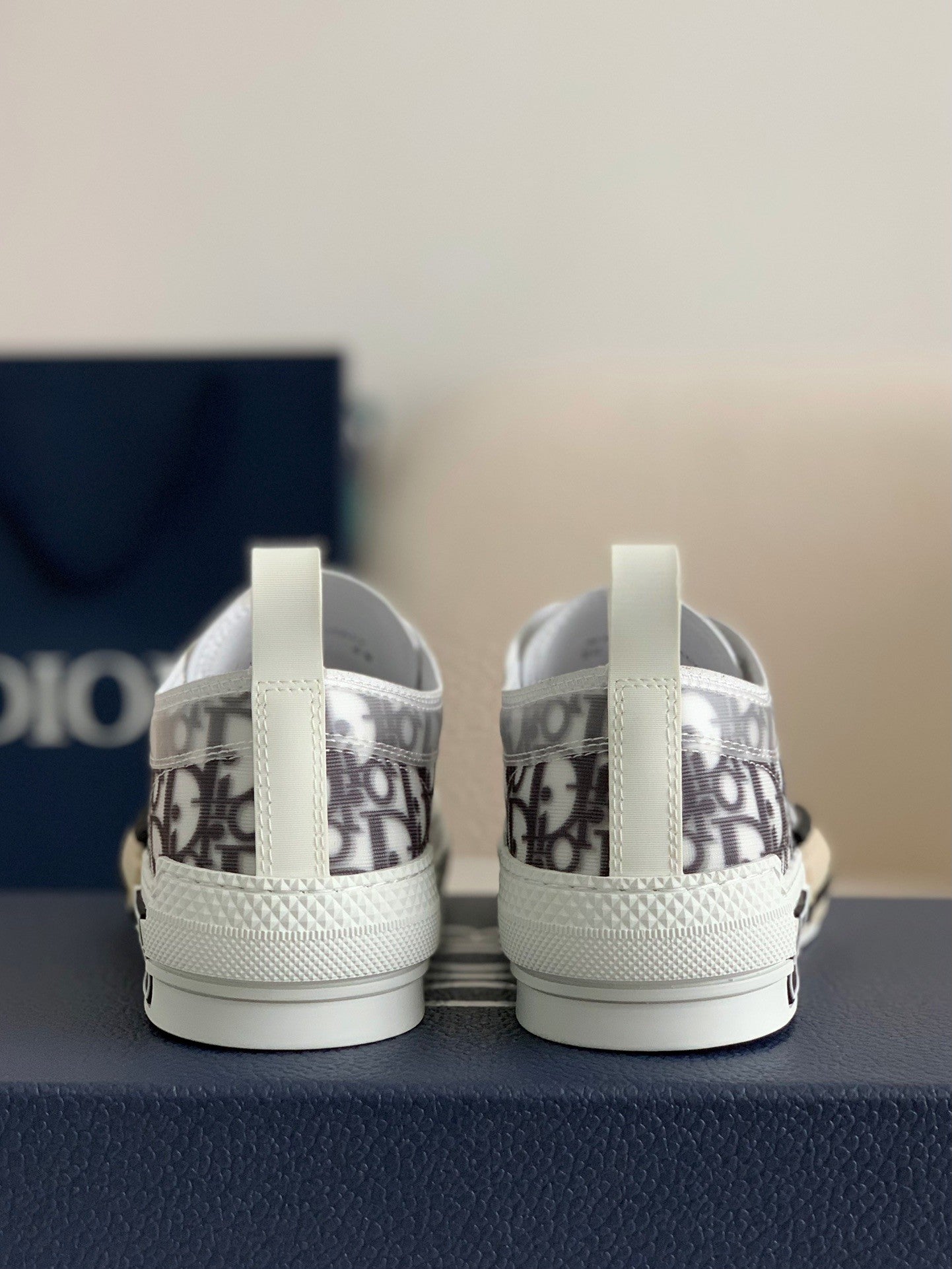 B23 Oblique Sneaker – Grey Transparent Monogram