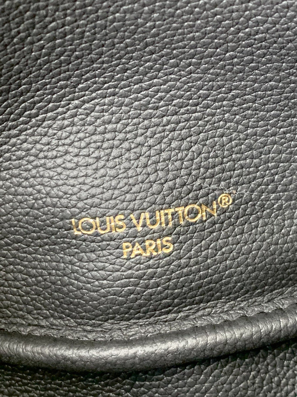 Mini Neverfull Bag