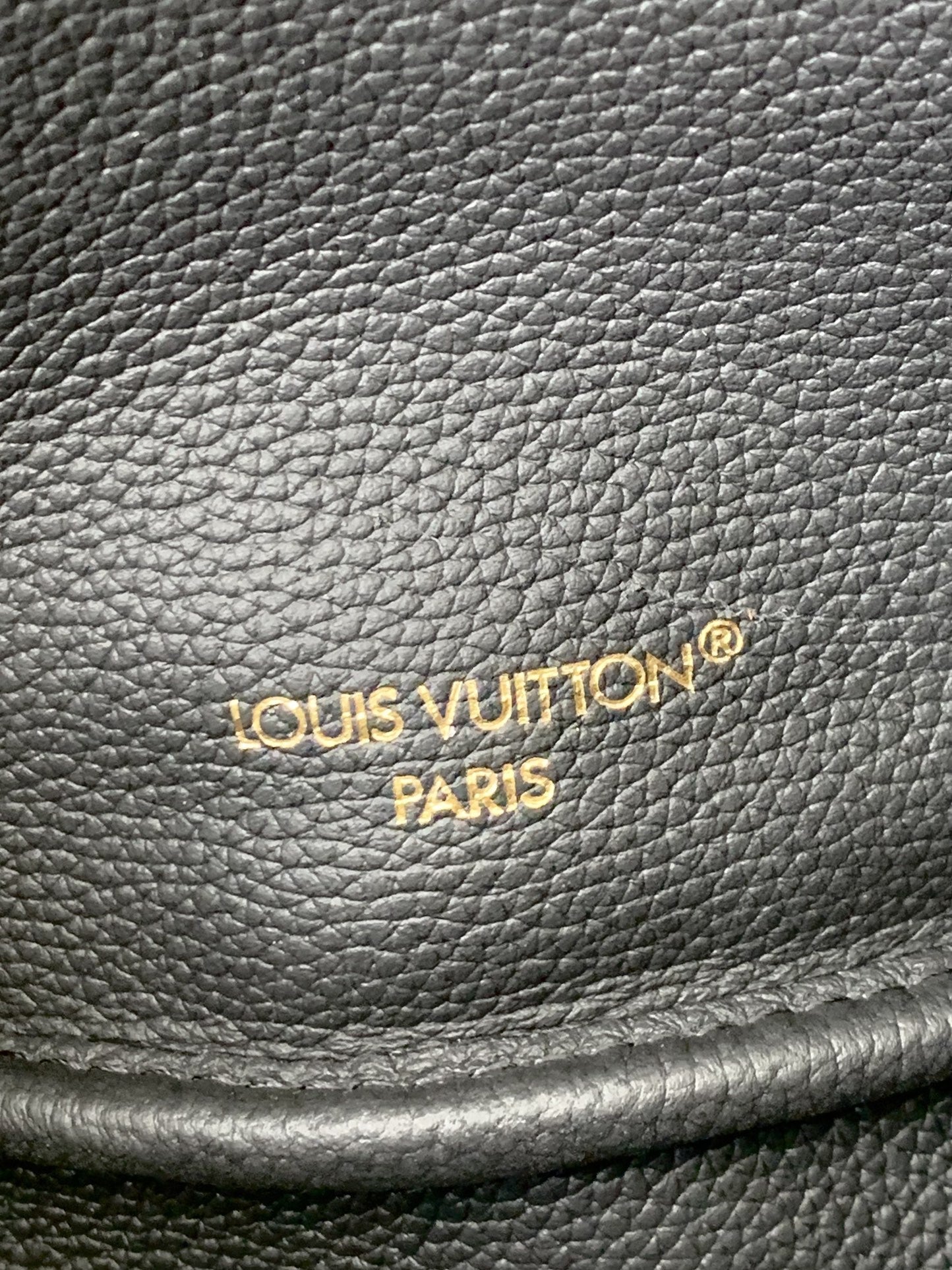 Mini Neverfull Bag