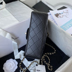 Mini Flap Bag with Handle