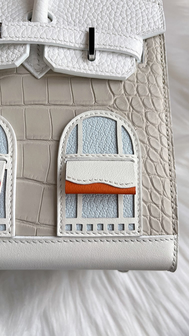 Birkin 20 Faubourg Handbag