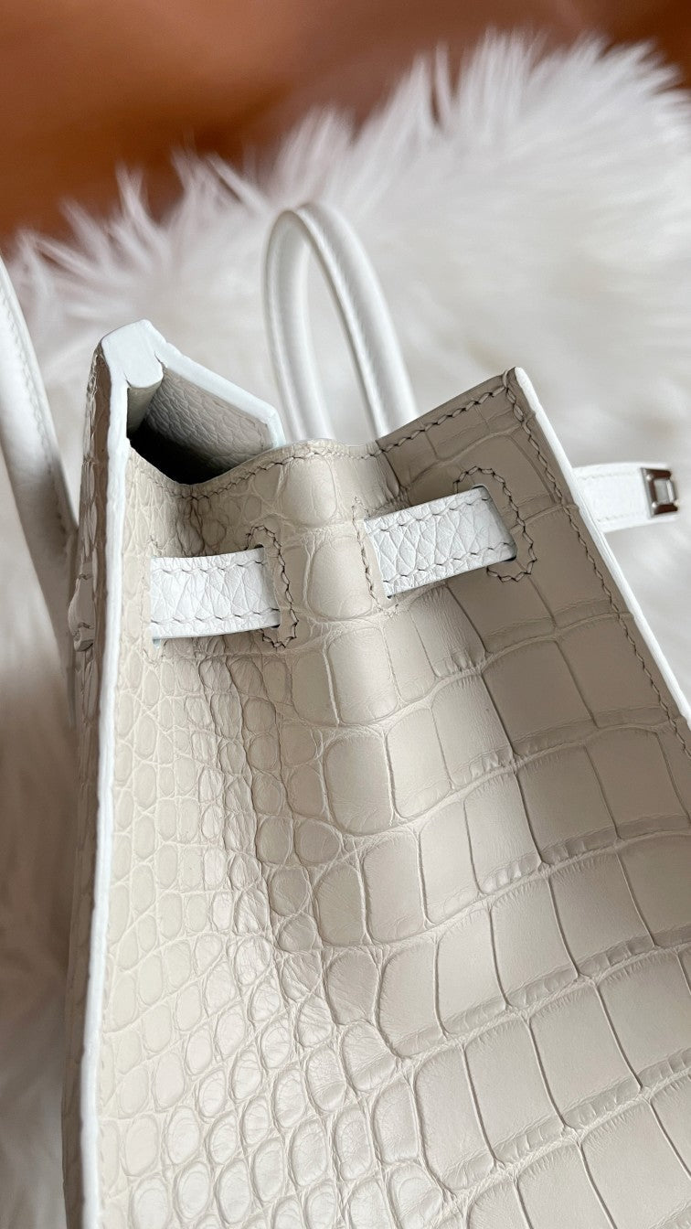 Birkin 20 Faubourg Handbag