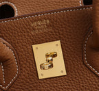 Birkin 25 Togo Leather Bag