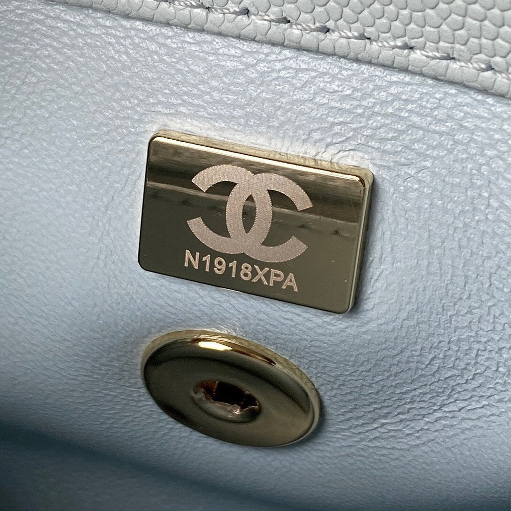 Coco Handle Mini Bag