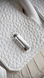 Birkin 20 Faubourg Handbag