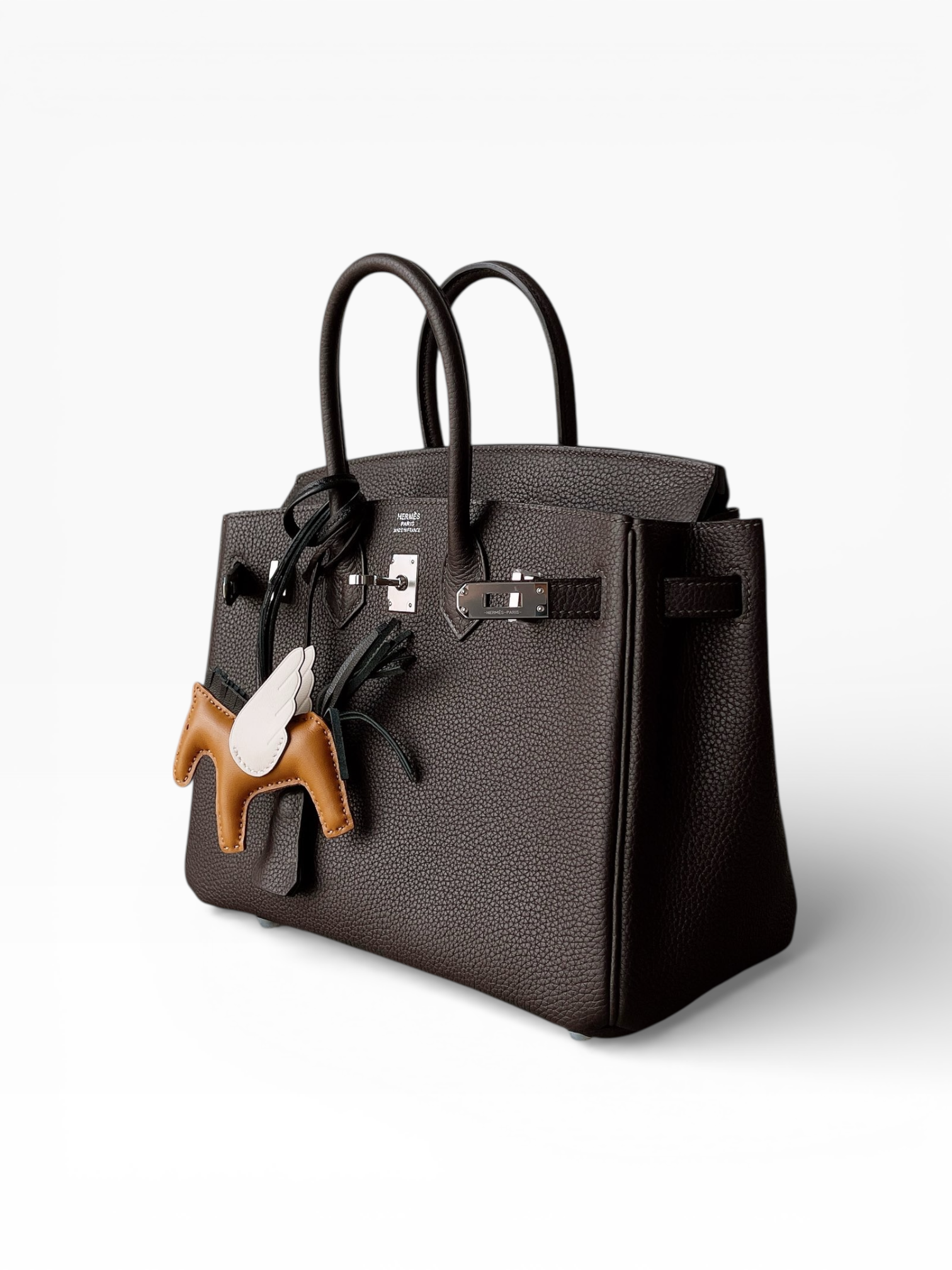 Birkin 25 Togo Leather - Silver hardware | Full Set