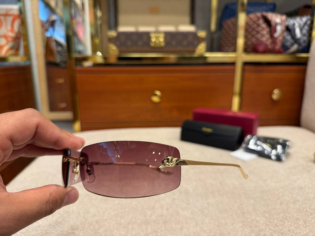 Eyewear Sunglasses
