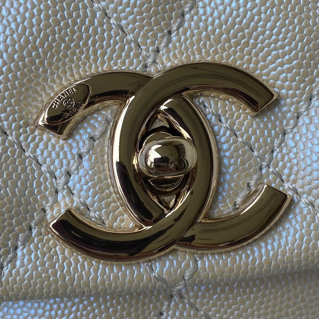 Coco Handle Bag