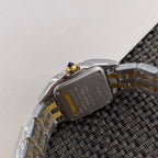 Panthère Watch