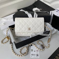 Wallet on Chain Bag