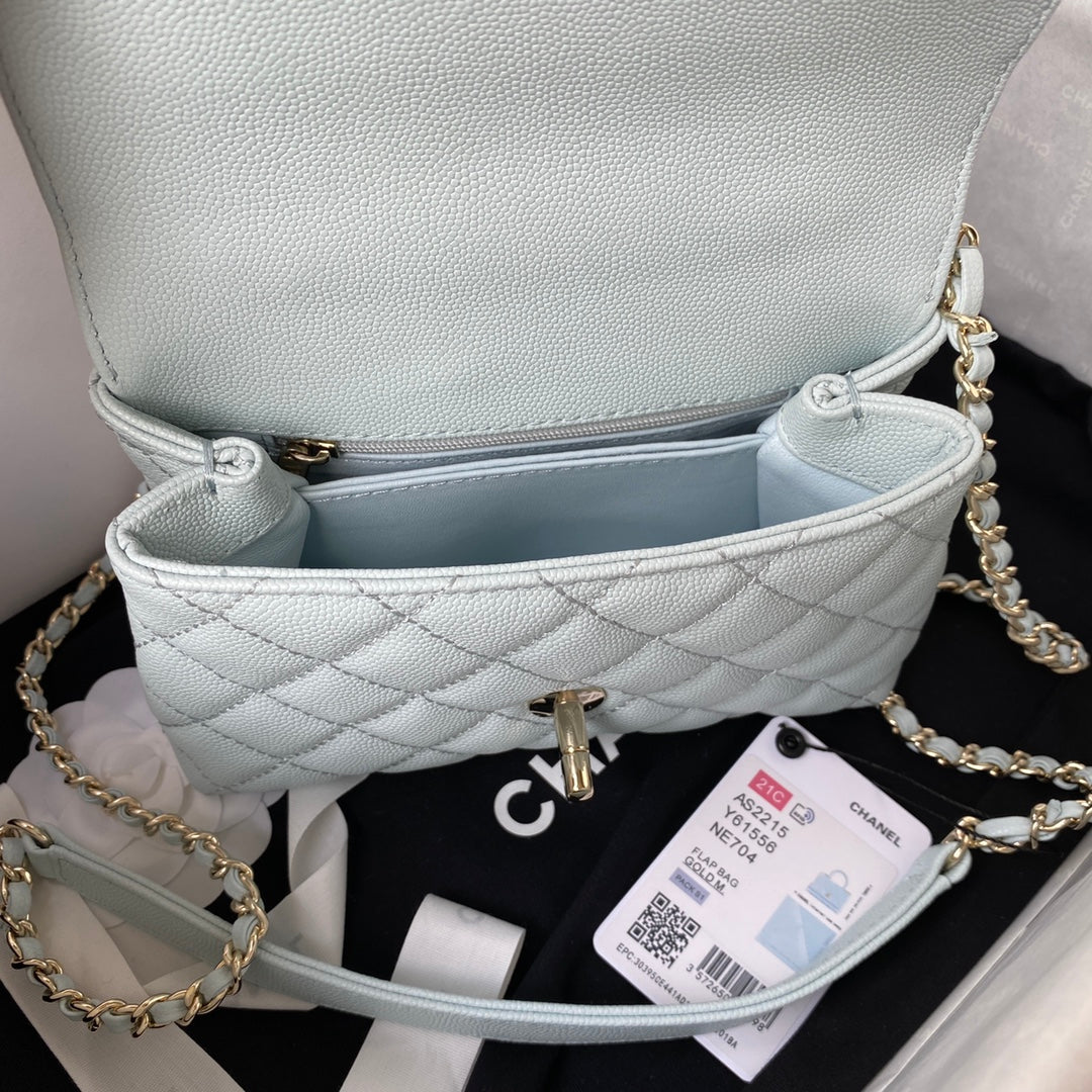 Coco Handle Mini Bag