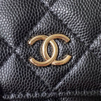 Wallet on Chain Bag