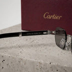 CT0362S Sunglasses