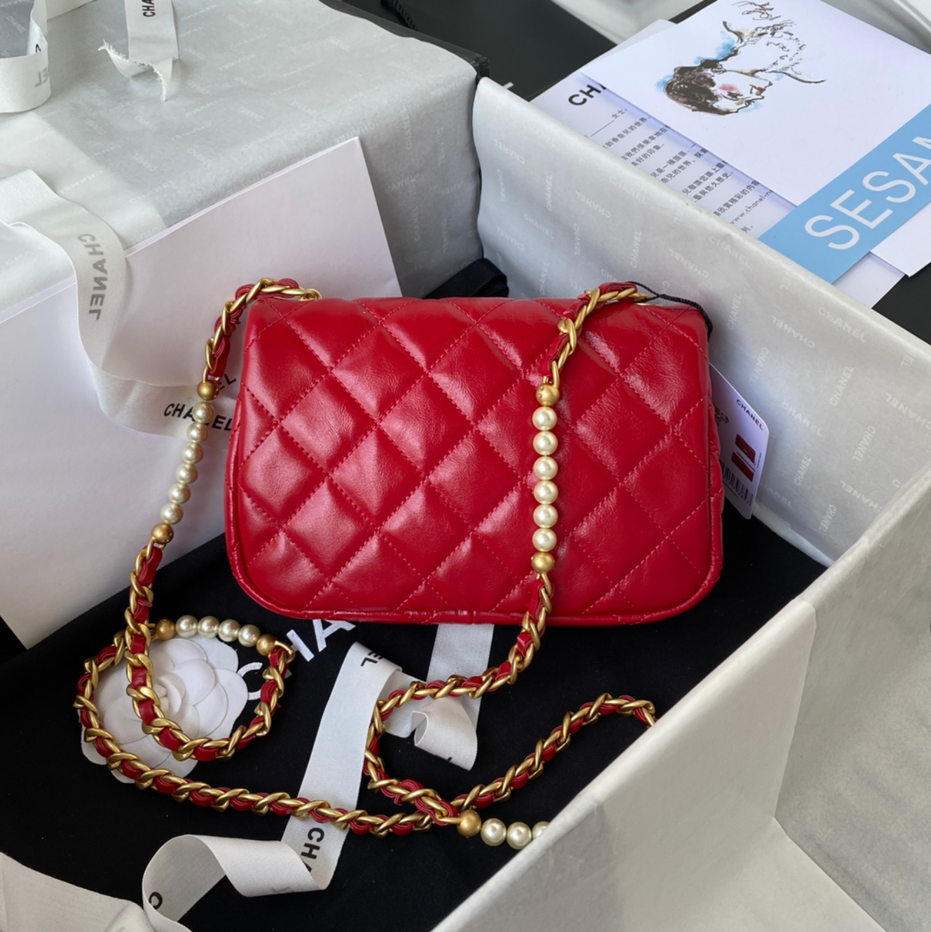 Mini Pearl Strap Bag