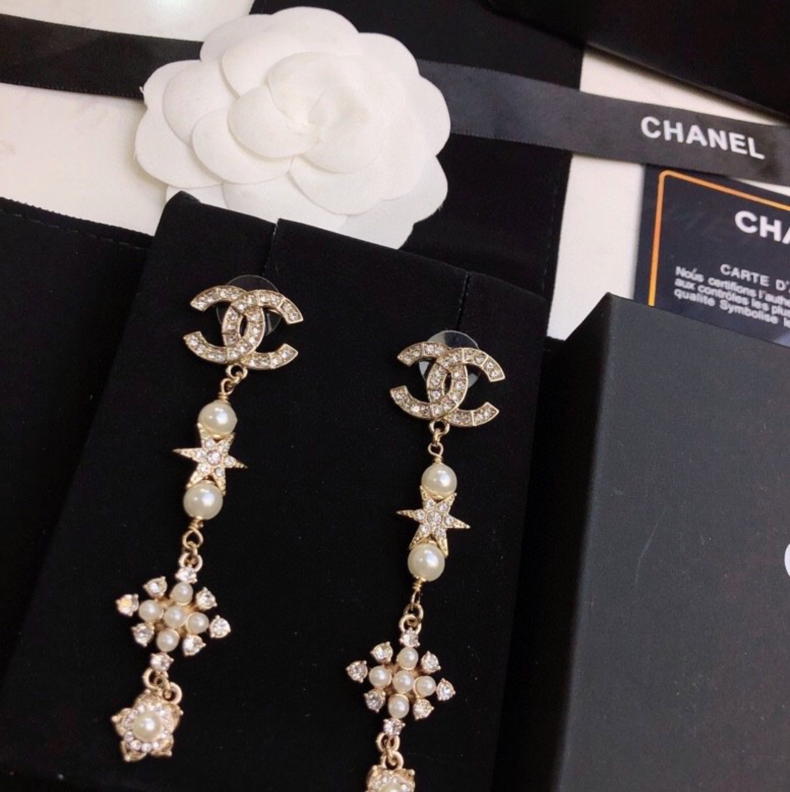 Long Drop Earrings
