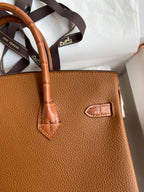 Birkin 25 Togo Leather & Crocodile Leather Bag