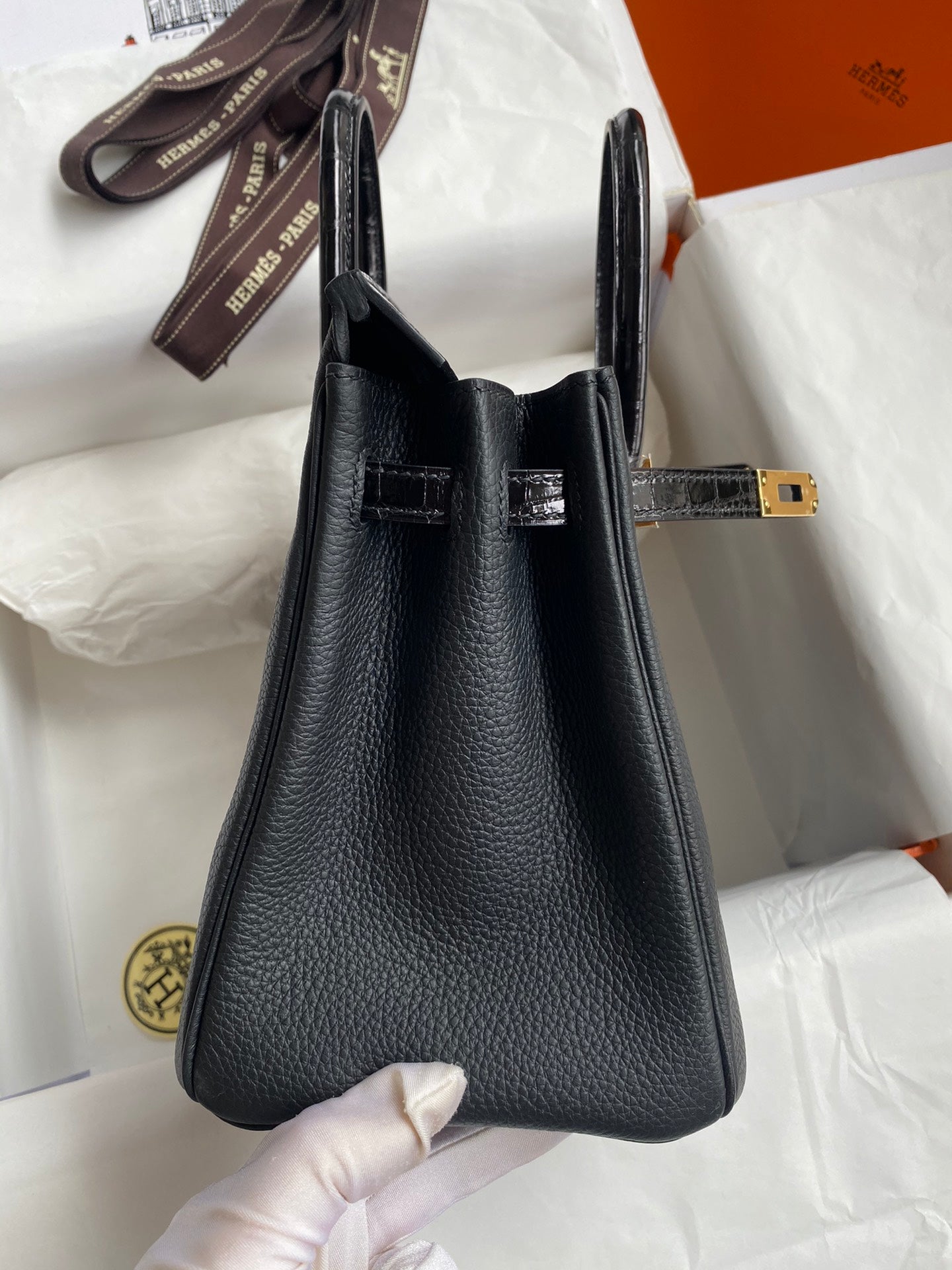 Birkin 25 Togo Leather & Crocodile Leather Bag