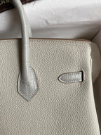 Birkin 25 Togo Leather & Crocodile Leather Bag