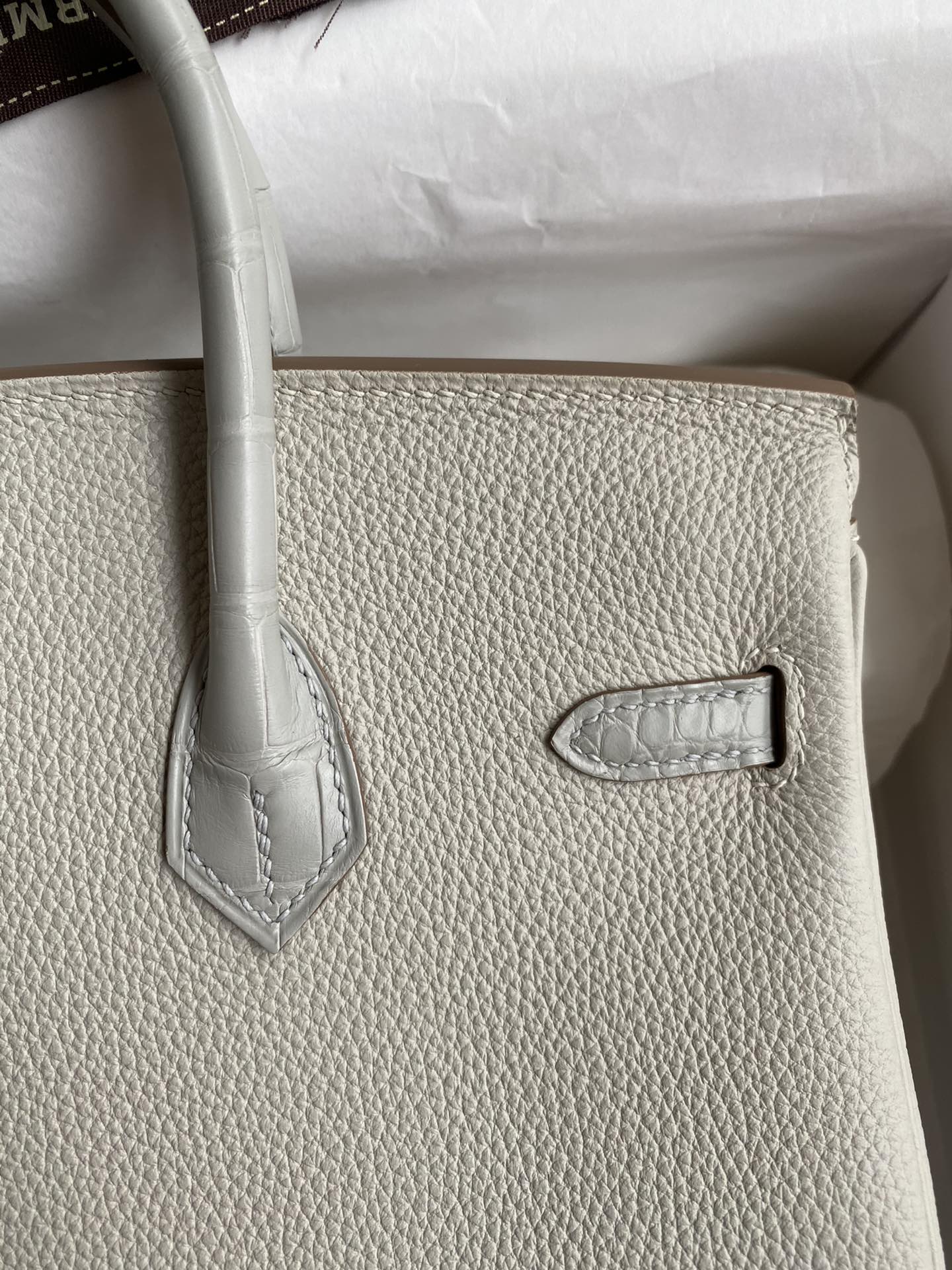 Birkin 25 Togo Leather & Crocodile Leather Bag