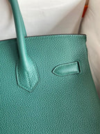 Birkin 30 Togo Leather