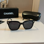 Letter-Temple Cat-Eye Sunglasses - Black - View 4