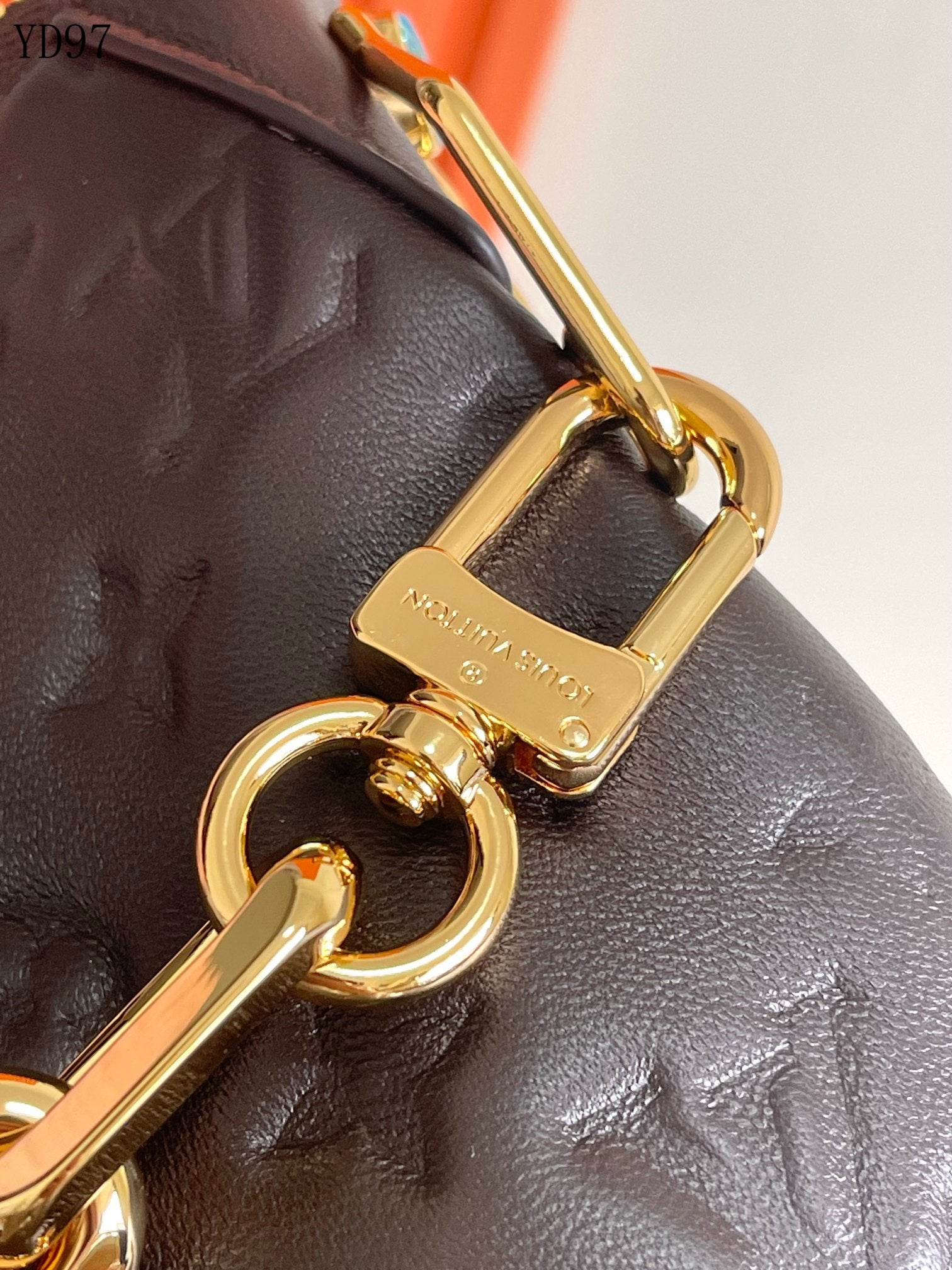 Coussin Hobo MM Bag