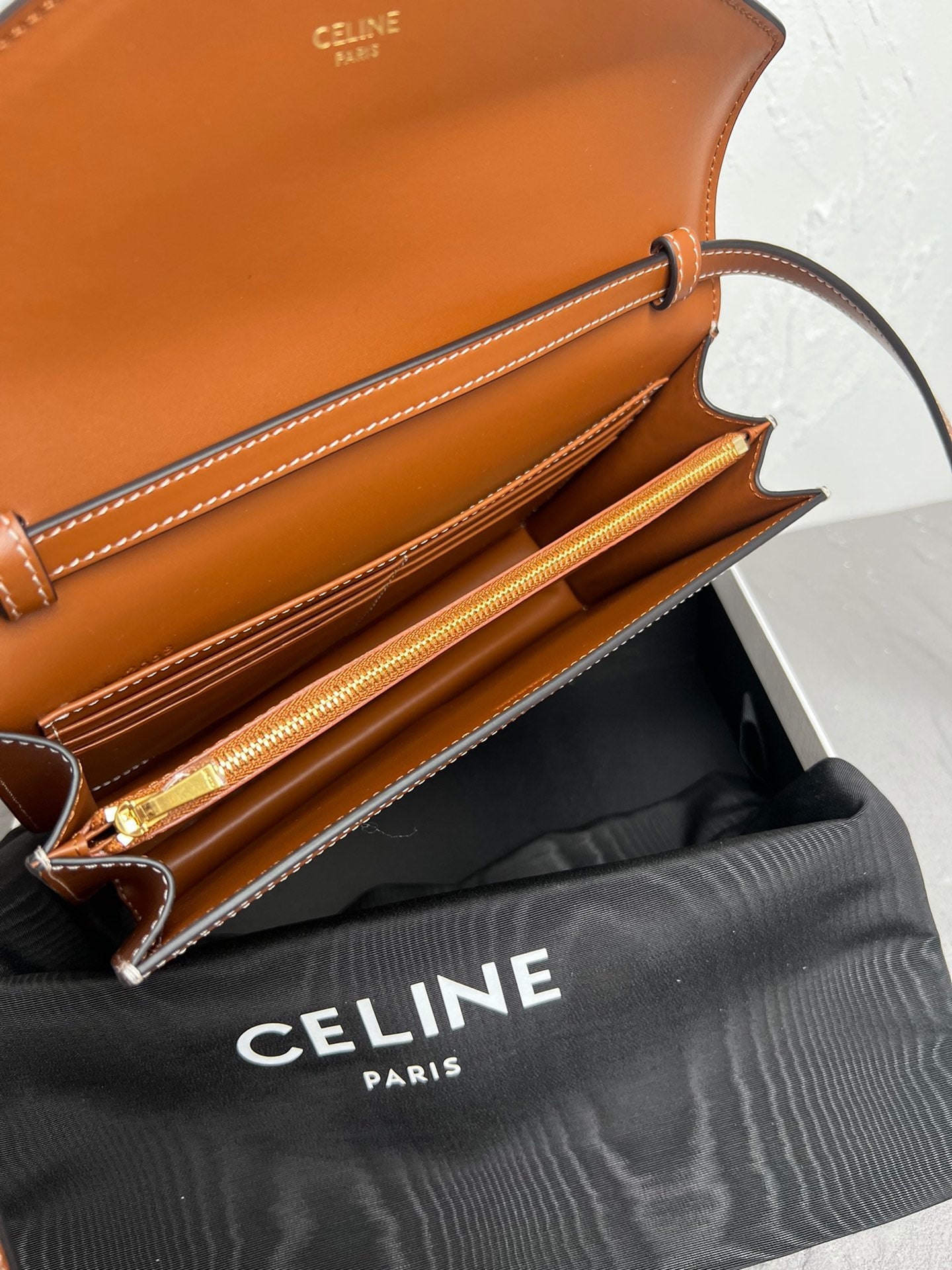 Triomphe Canvas Large Wallet on Chain