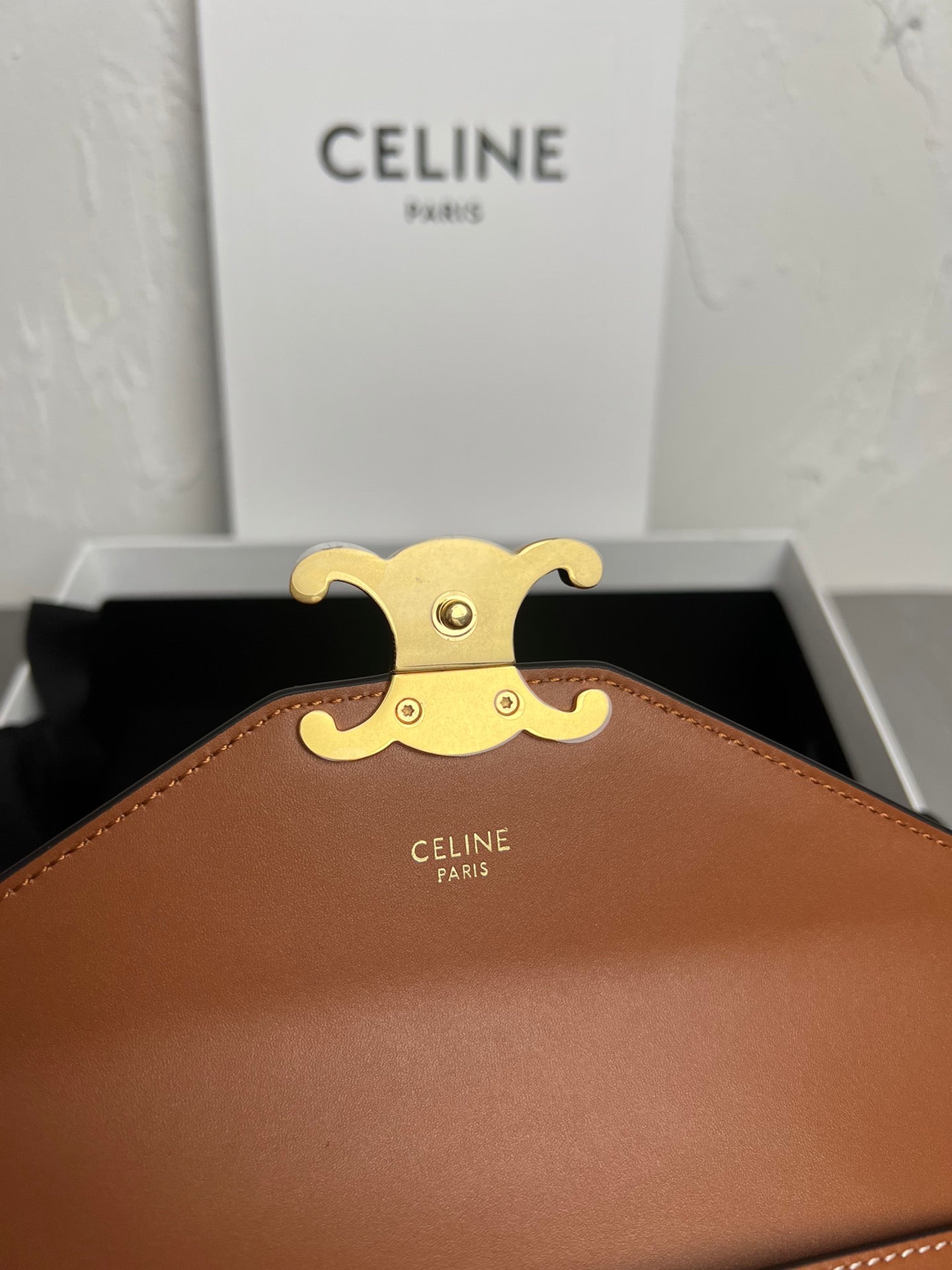 Triomphe Canvas Large Wallet on Chain