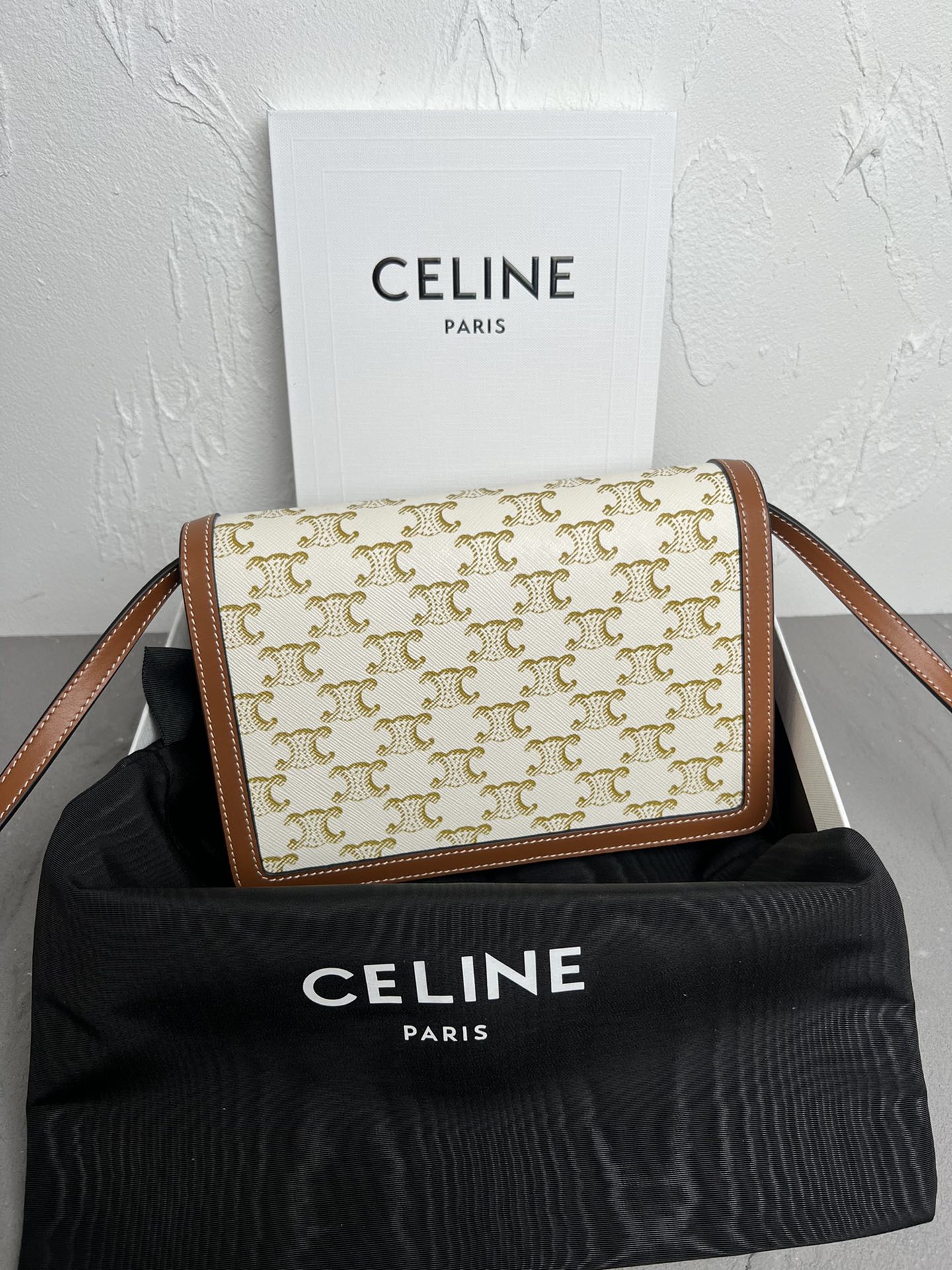 Triomphe Canvas Large Wallet on Chain