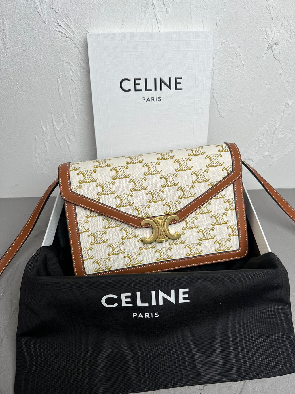 Triomphe Canvas Large Wallet on Chain