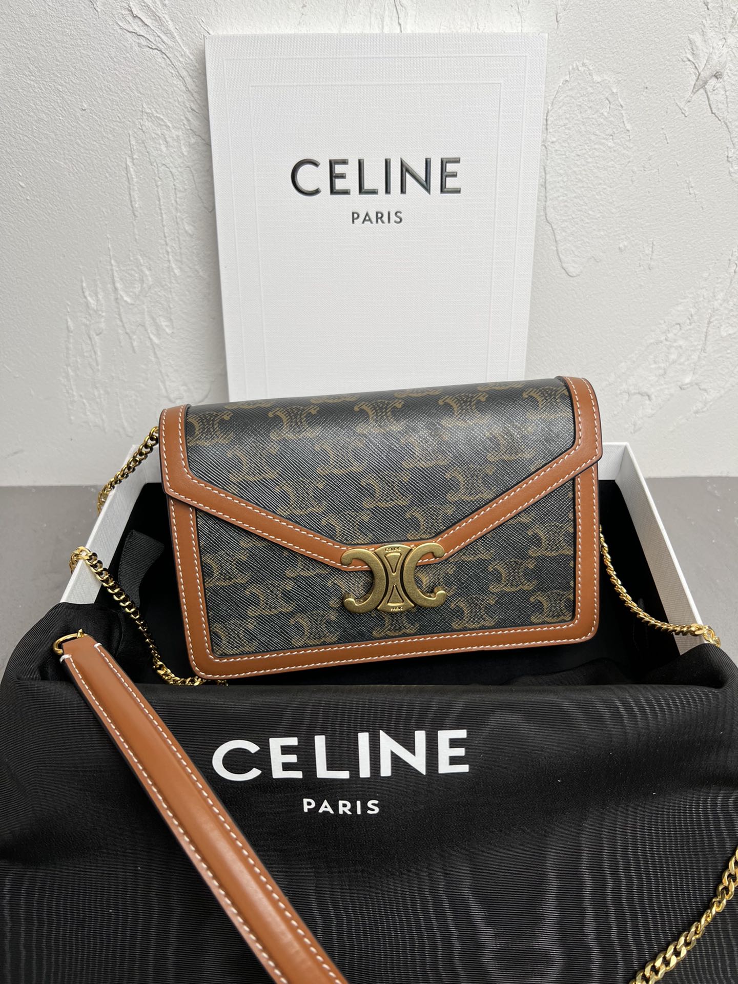 Triomphe Canvas Chain Wallet