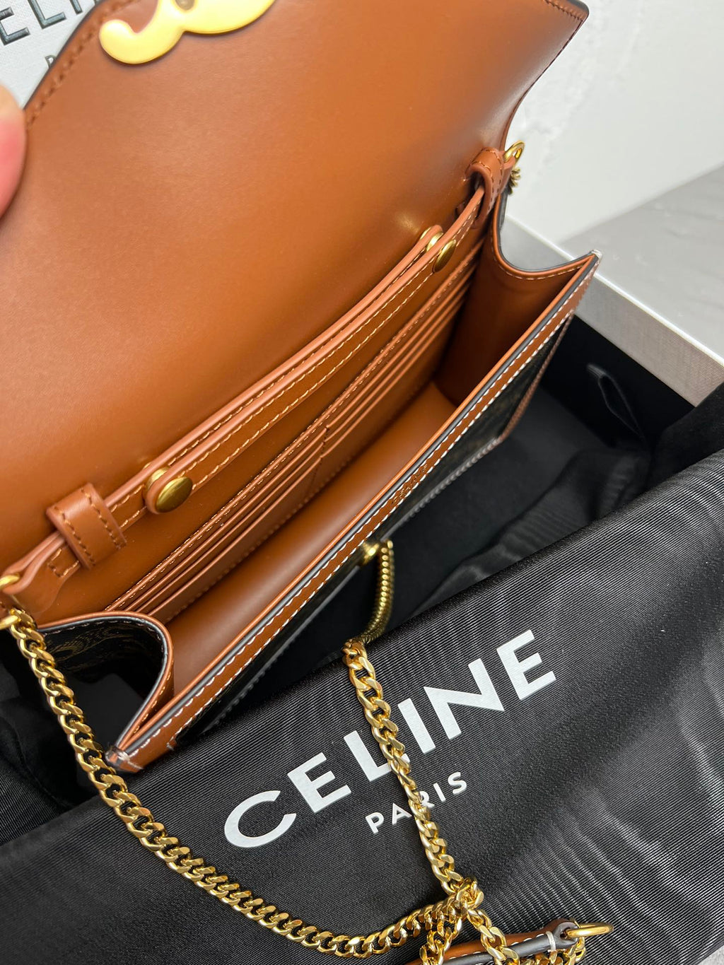 Triomphe Canvas Chain Wallet