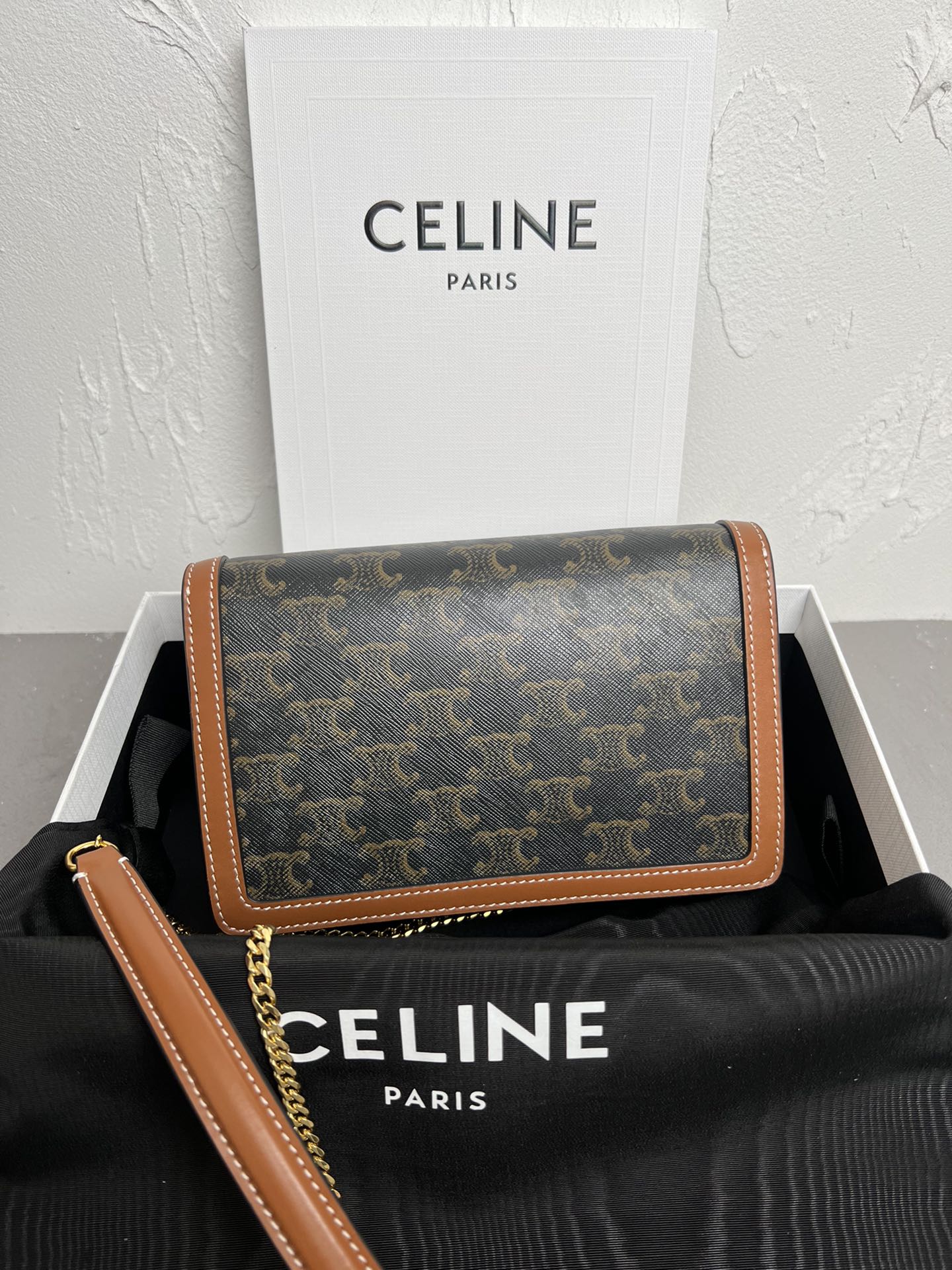 Triomphe Canvas Chain Wallet