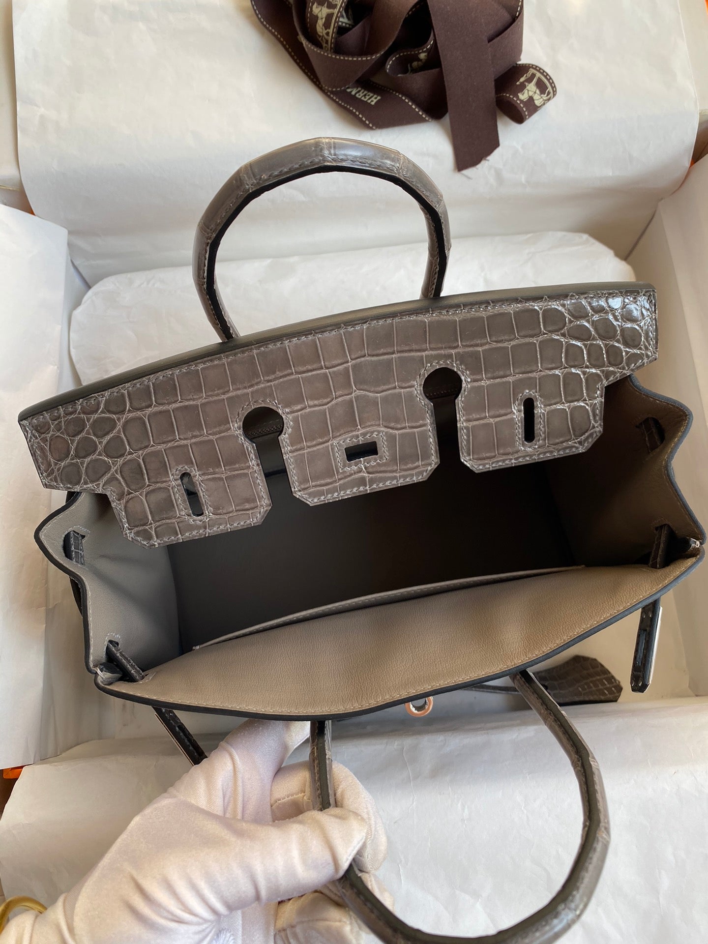 Birkin 25 Togo Leather & Crocodile Leather Bag