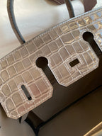 Birkin 25 Togo Leather & Crocodile Leather Bag