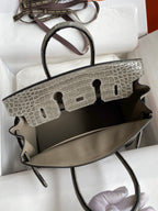Birkin 25 Togo Leather & Crocodile Leather Bag