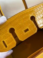 Birkin 25 Togo Leather & Crocodile Leather Bag
