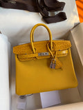 Birkin 25 Togo Leather & Crocodile Leather Bag