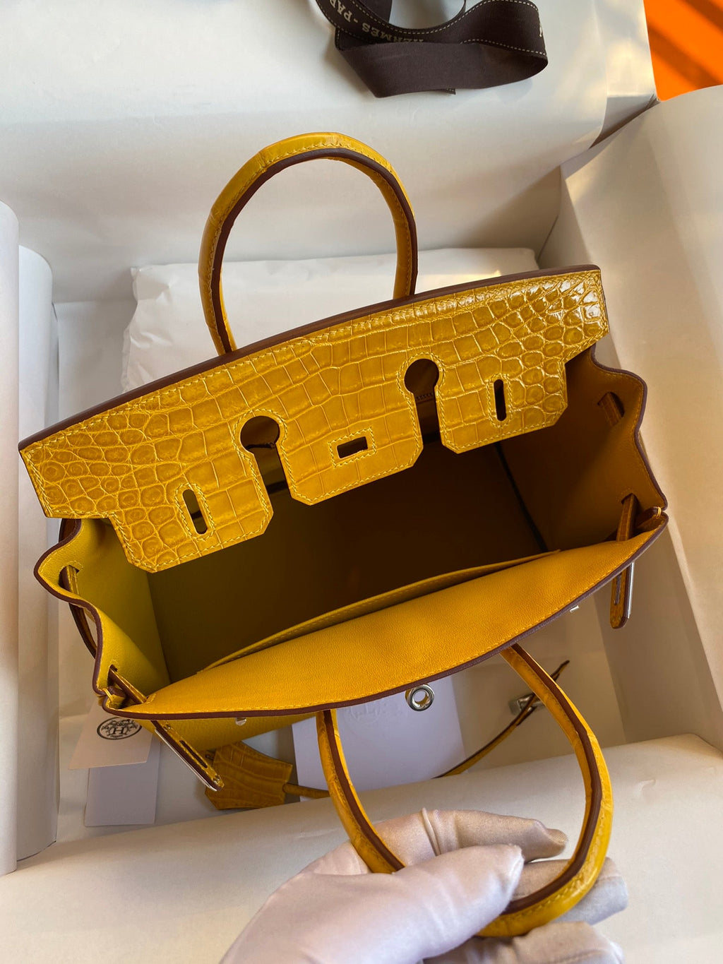 Birkin 25 Togo Leather & Crocodile Leather Bag