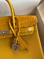 Birkin 25 Togo Leather & Crocodile Leather Bag